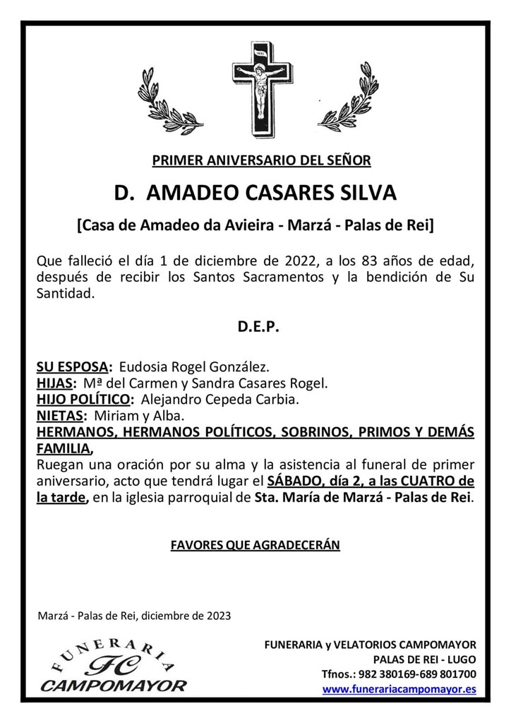 AMADEO CASARES SILVA