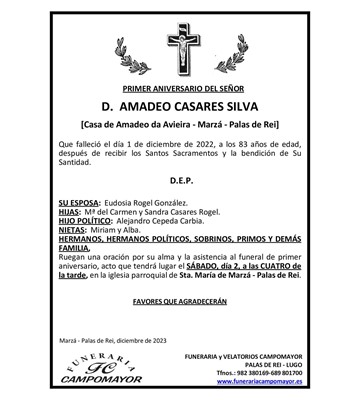 AMADEO CASARES SILVA