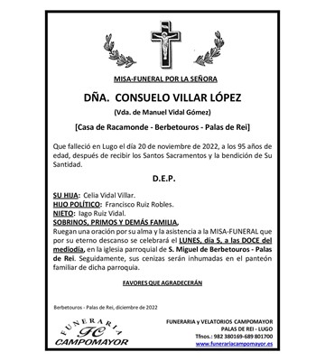 CONSUELO VILLAR LÓPEZ