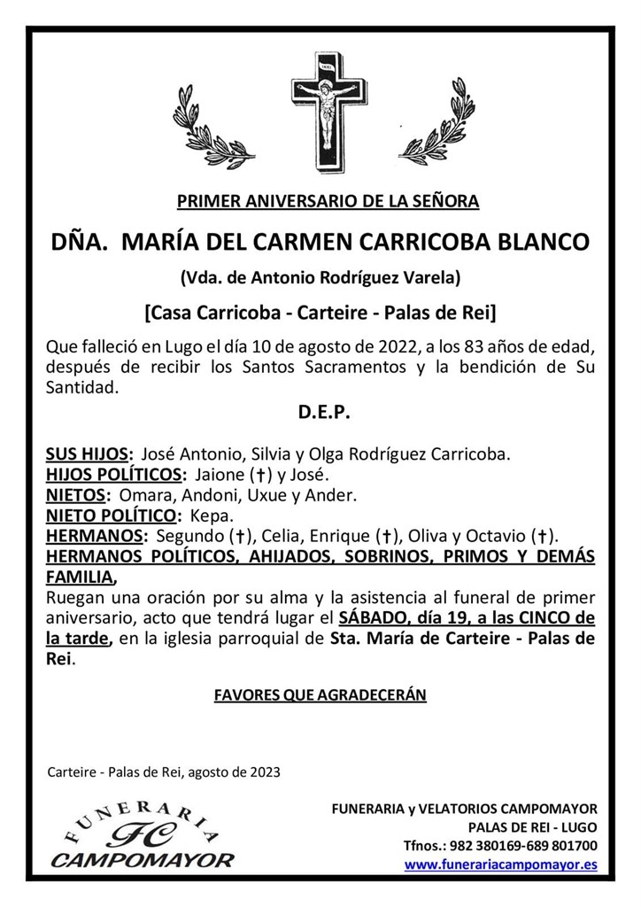 MARÍA DEL CARMEN CARRICOBA BLANCO