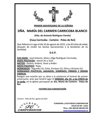 MARÍA DEL CARMEN CARRICOBA BLANCO