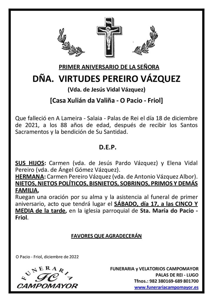 VIRTUDES PEREIRO VÁZQUEZ