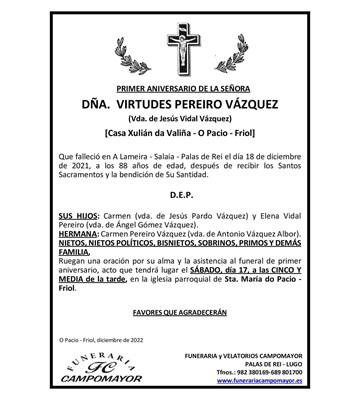 VIRTUDES PEREIRO VÁZQUEZ